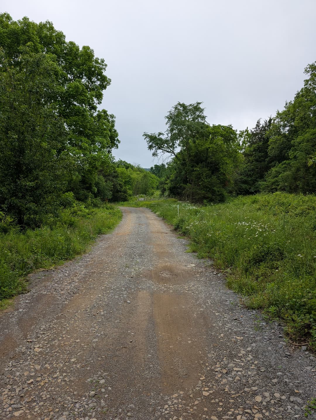 Gravel path winding through lush greenery under a cloudy sky in a serene landscape.