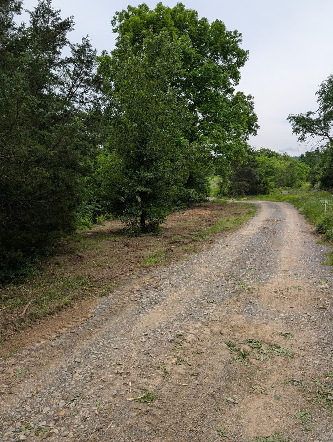 Gravel path winding through green trees in a rural landscape. Ideal for nature walks.