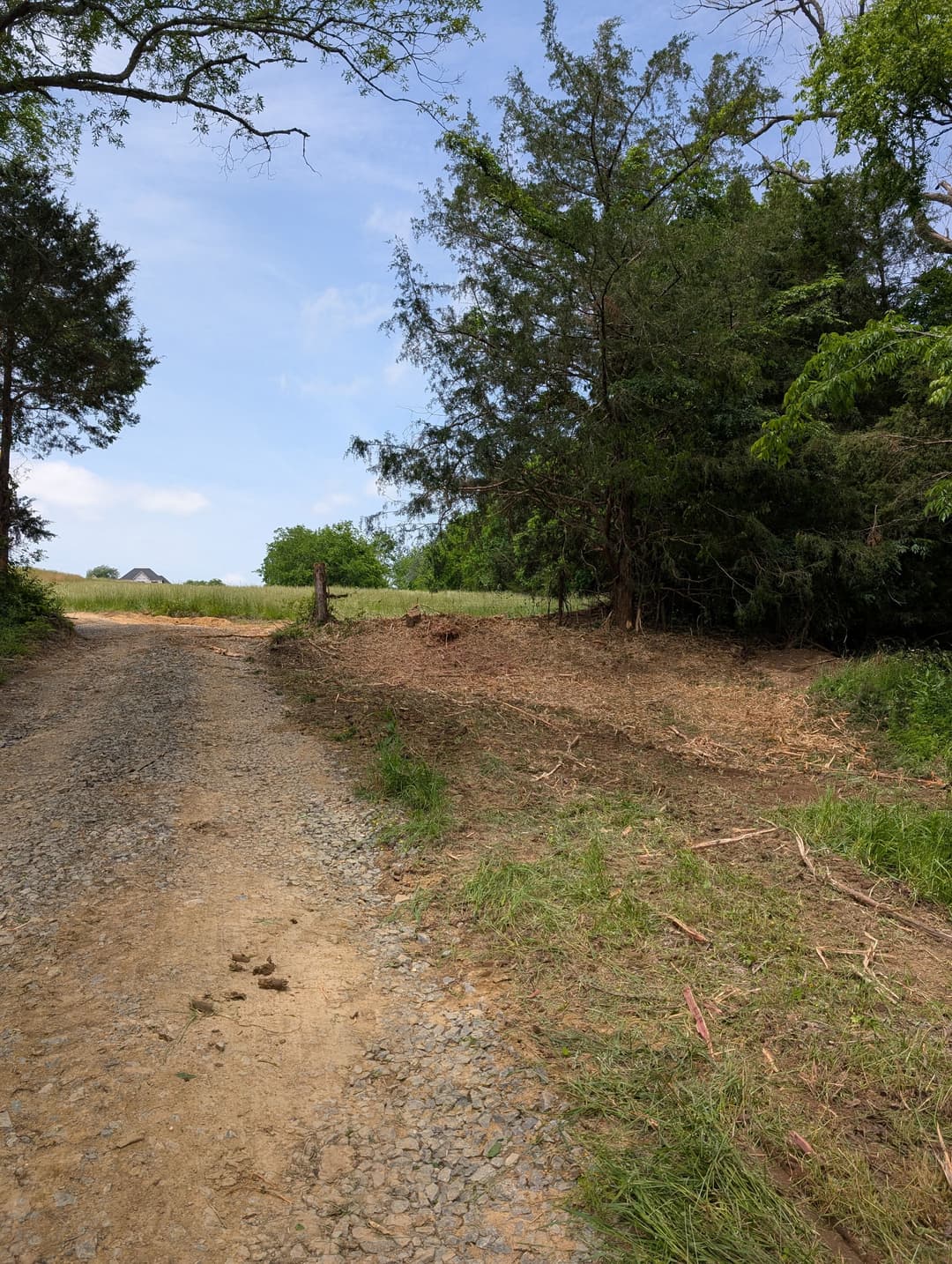 Gravel road leading to a grassy field with trees on either side under a blue sky.