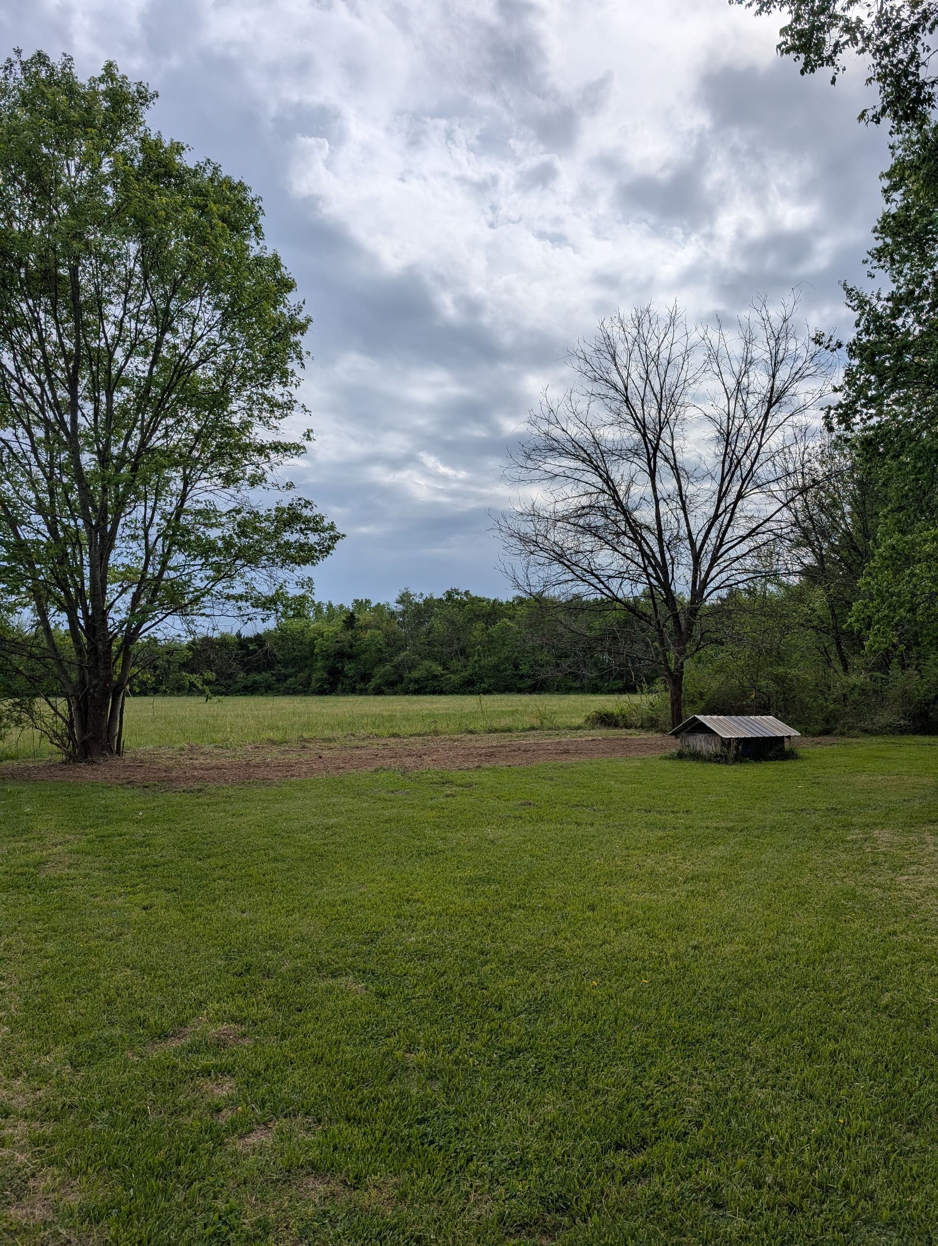 Gallery photos for Rural Land Clearing Done Right in Middle Tennessee: Image #1