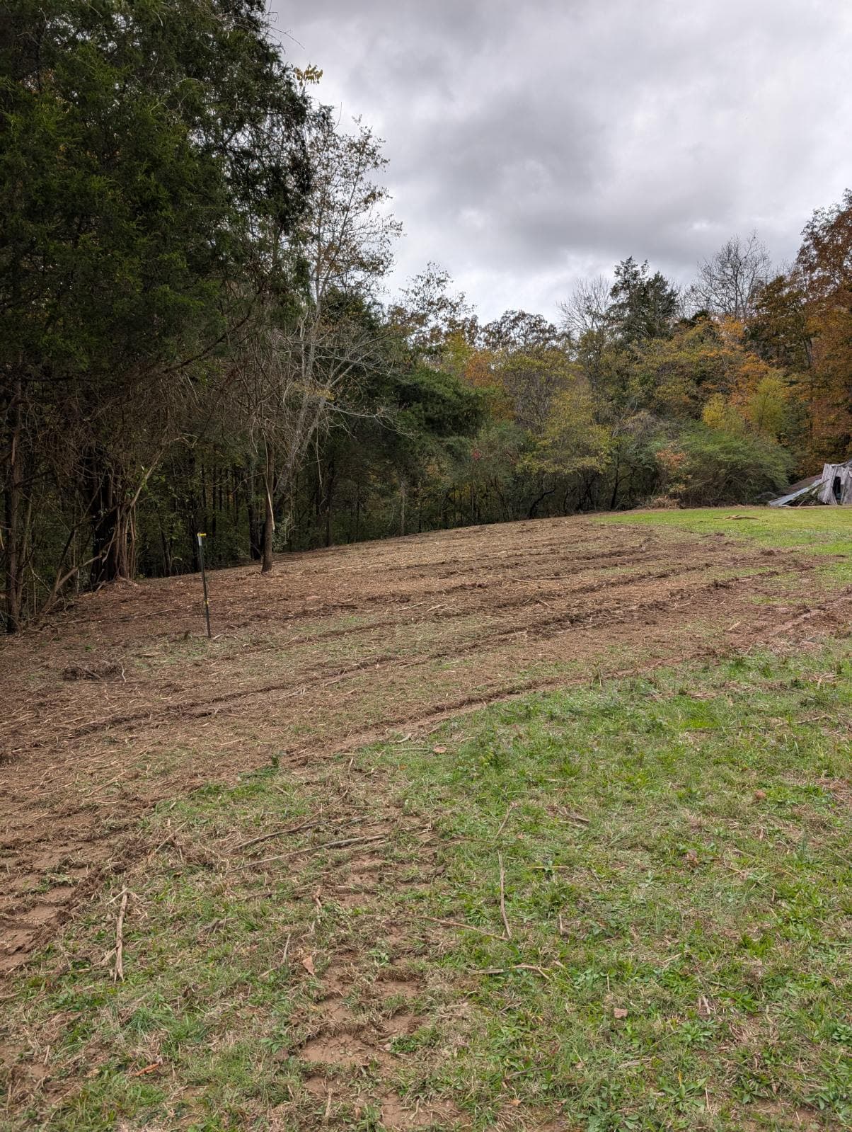 Efficient Brush Removal with Drum Mulching image