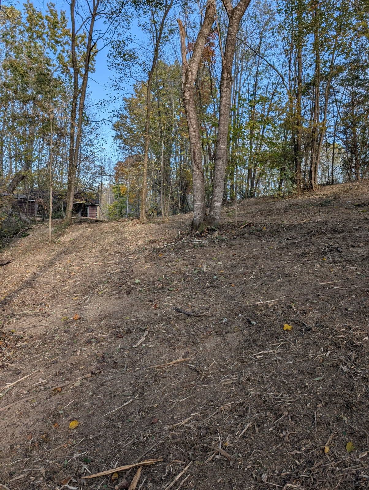 Project Creating Space for Your Dream Home image