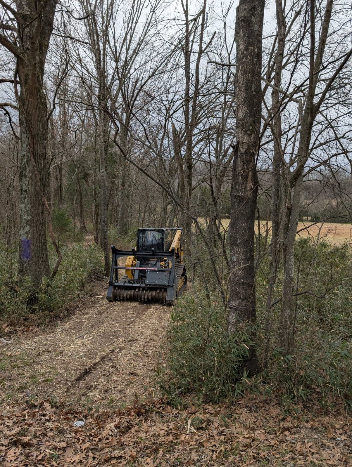 Trail Cleared in Christiana TN with Expert Mulching Services