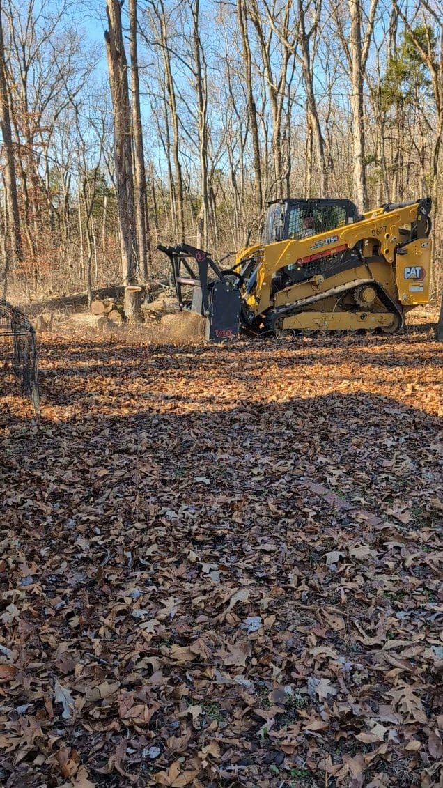 Efficient Autumn Cleanup with Compact Track Loader image