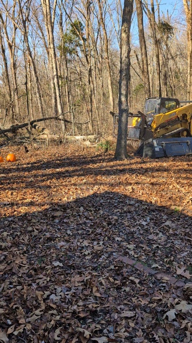 Gallery photos for Efficient Autumn Cleanup with Compact Track Loader: Image #2